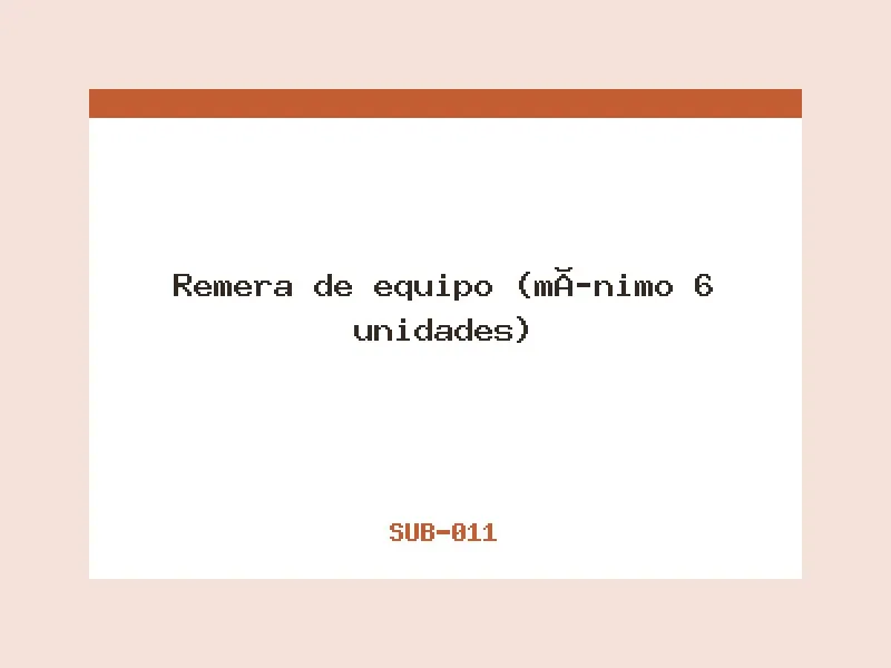 Remera de equipo (mínimo 6 unidades)