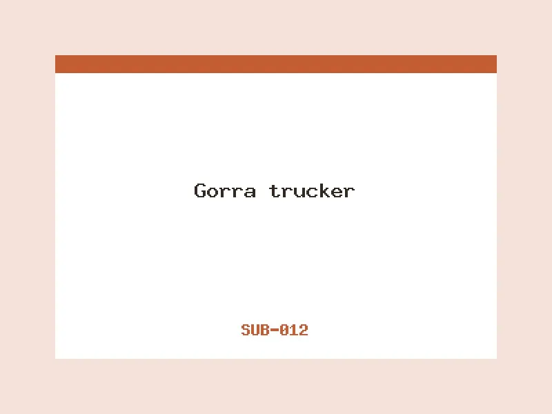 Gorra trucker